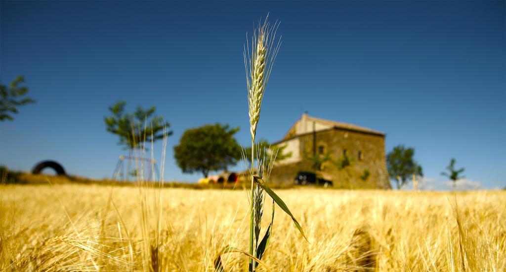 Holiday home Masia Manonelles *